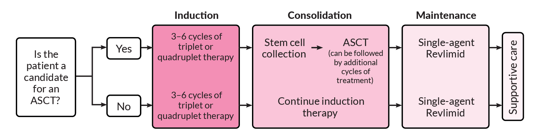 Decision tree for treatment of newly diagnosed multiple myeloma patients. Considerations for induction, consolidation, maintentance, and supportive care.