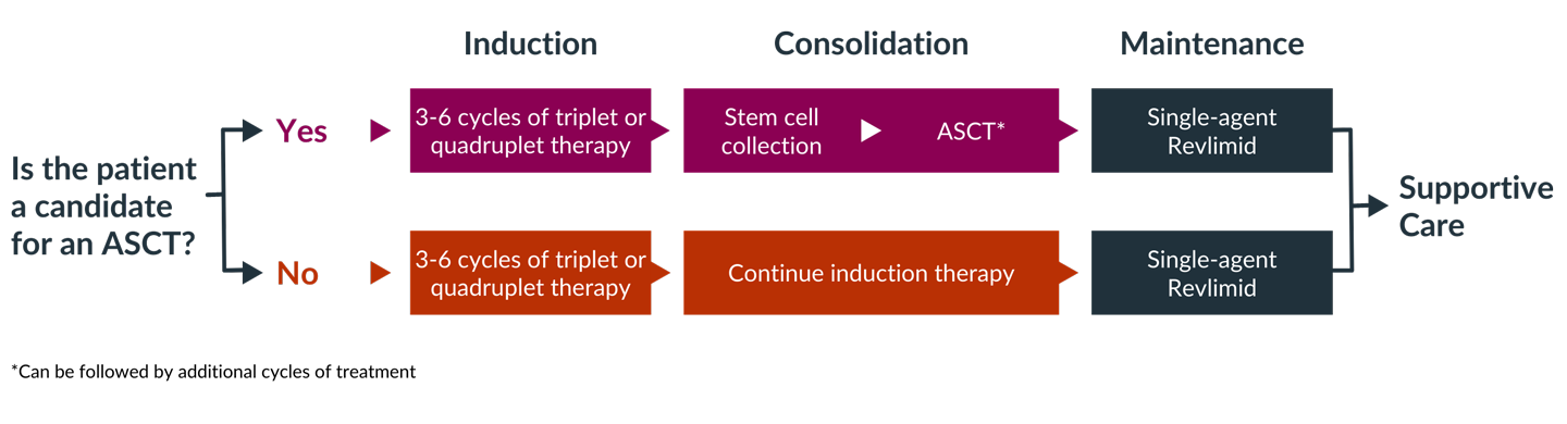 Decision tree for treatment of newly diagnosed multiple myeloma patients. Considerations for induction, consolidation, maintentance, and supportive care.